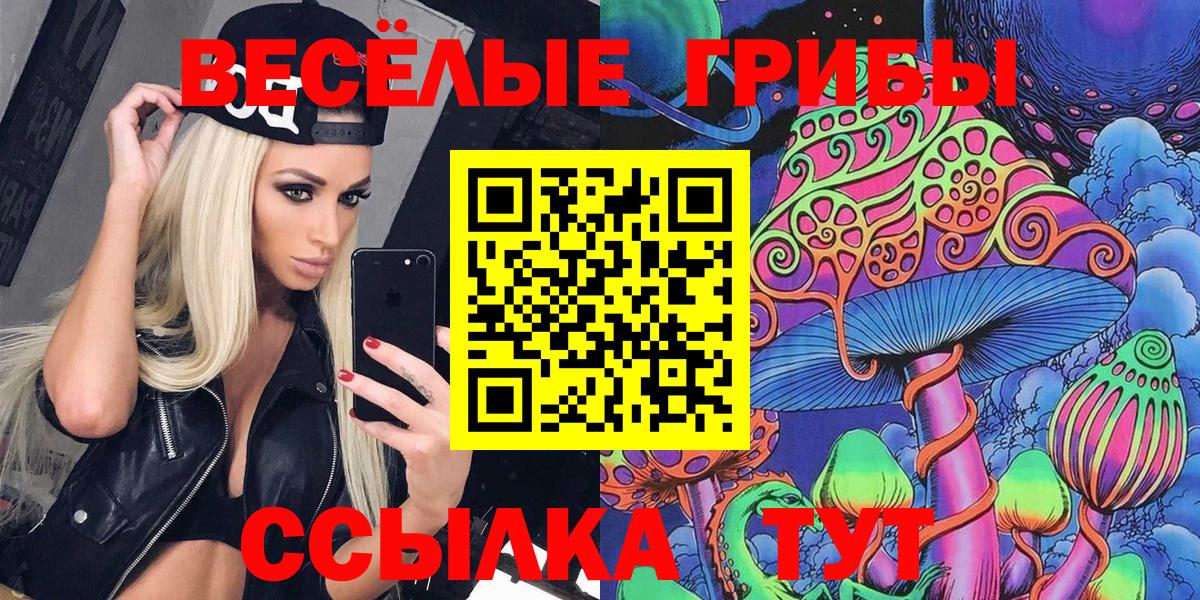 Галлюциногенные грибы Psilocybe Топки